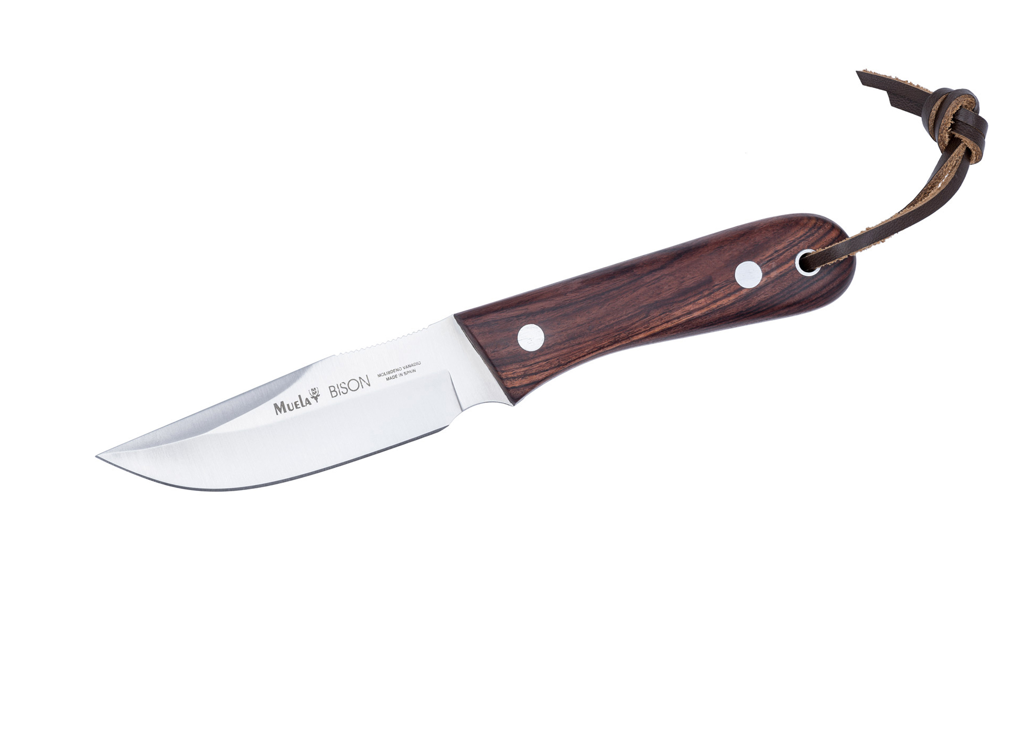 muela_bison_wood_9nl