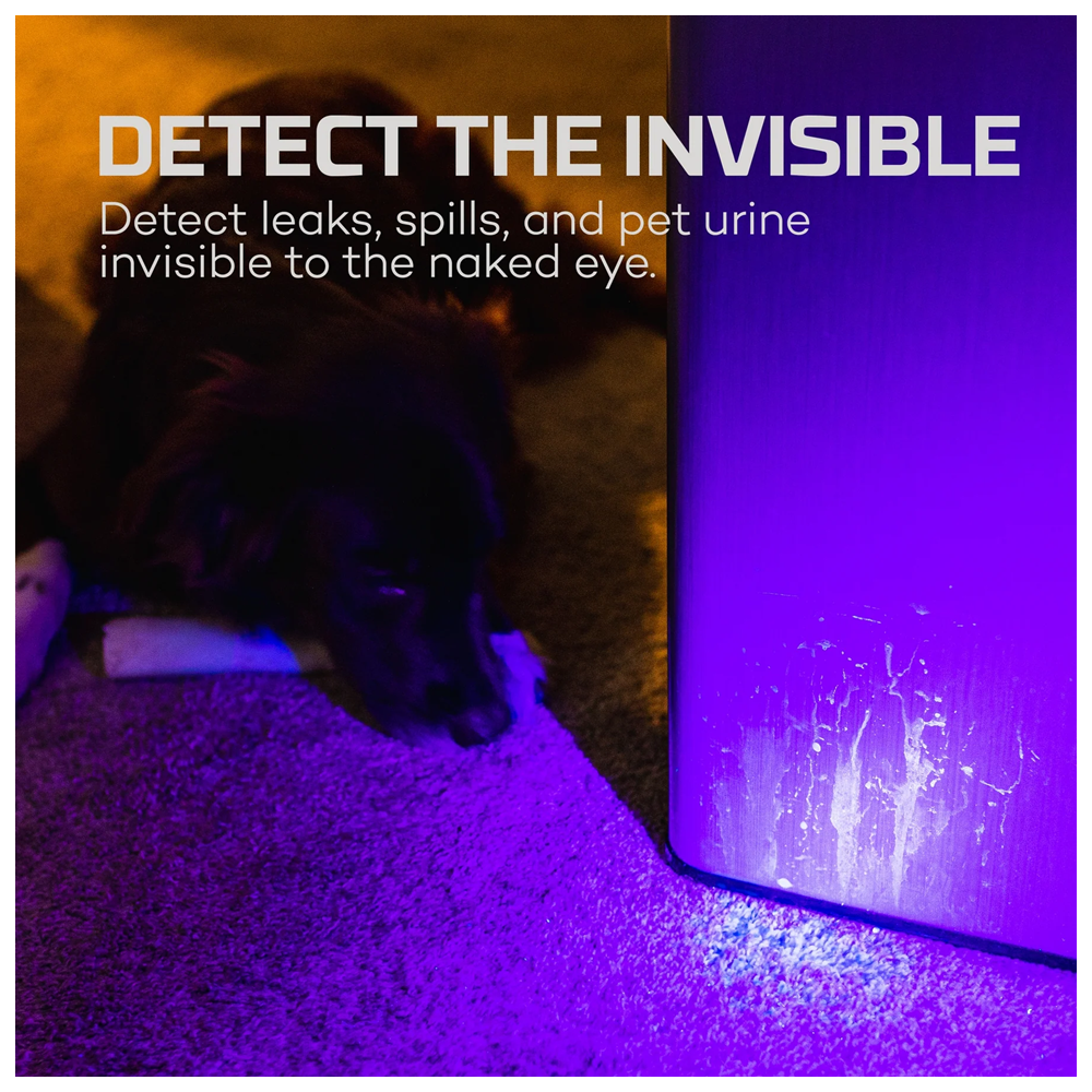 NEBO Torchy UV & Black Light FLT-1061-G